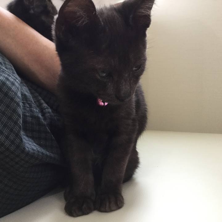 1f4e3696 8e2d 4c93 a697 de9ece048b19