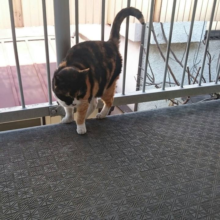 1f4e40c3 7886 450d bf08 a90c70edded0