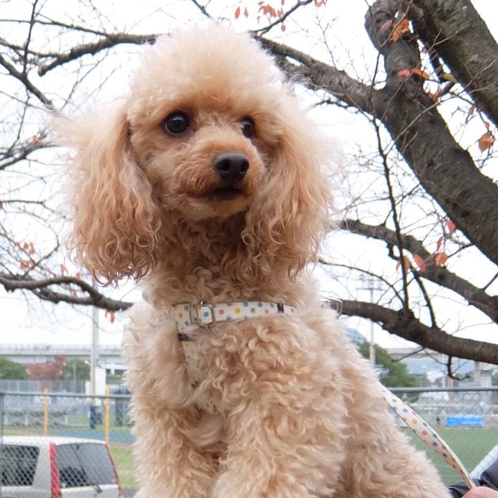 1f4f86e8 9414 463c 8a7d 8193b70e2a4f