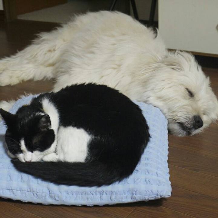 1f4fe162 c9bf 4d45 892c 185044327e20