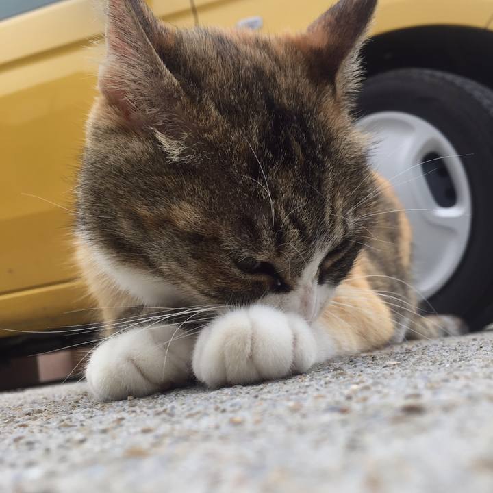 1f508a4b 4249 44bd a4e0 a38b392394e4