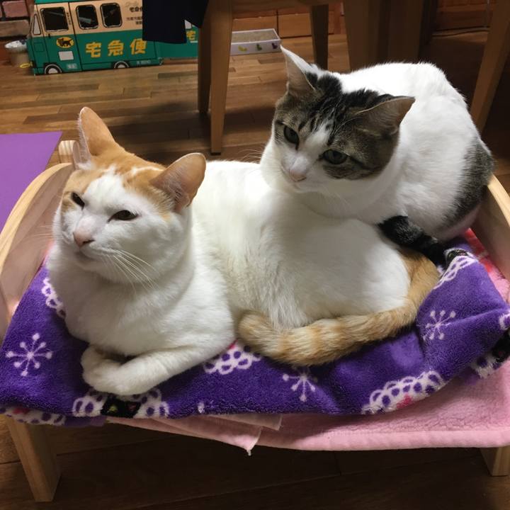 1f50c72a fbff 4976 9f5a 0afa82d39ae9