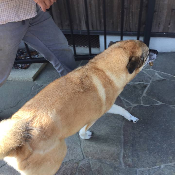 1f511056 eb90 40d5 887d c880b0ff0c2e