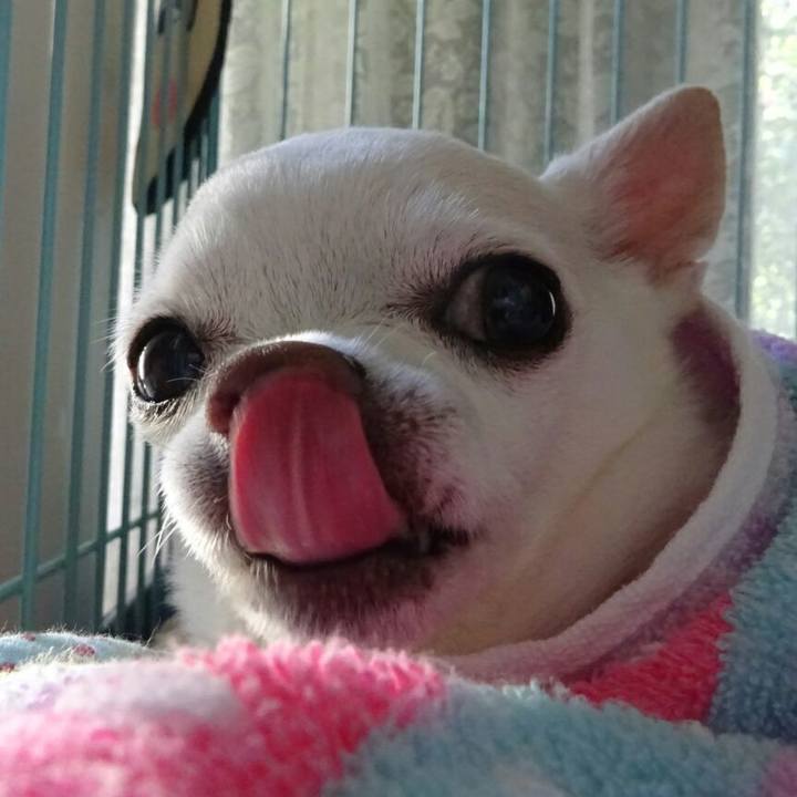 1f51b04b 0c81 40e3 9165 ad46e918d5e4