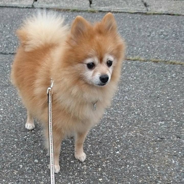 1f520514 ca16 49d4 8ce5 9cfdbd2431a4