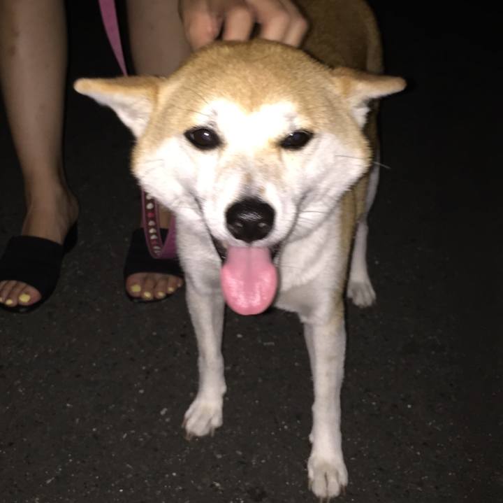 1f523c26 09bd 4508 b193 9d501318fb8d