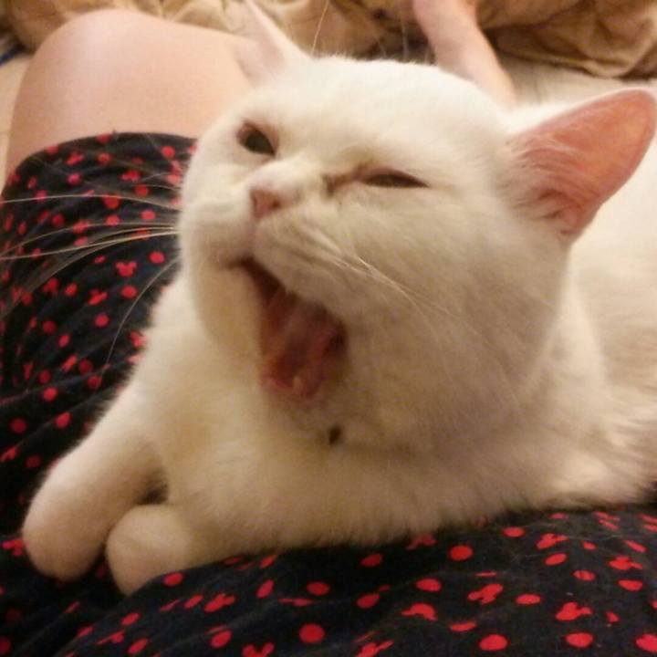 1f53978f d1b4 4057 b10c 25978120c3ff