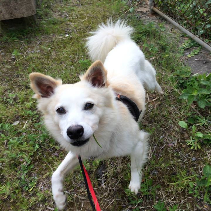 1f5406ea b734 45bc 9074 073f8335ffc2