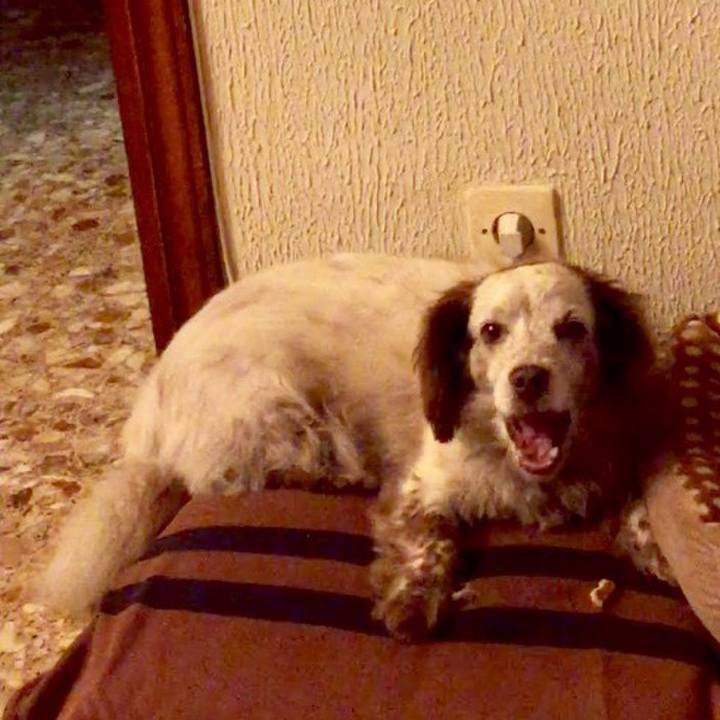 1f54311e 8596 4b2e b0bd 7781271c3d38