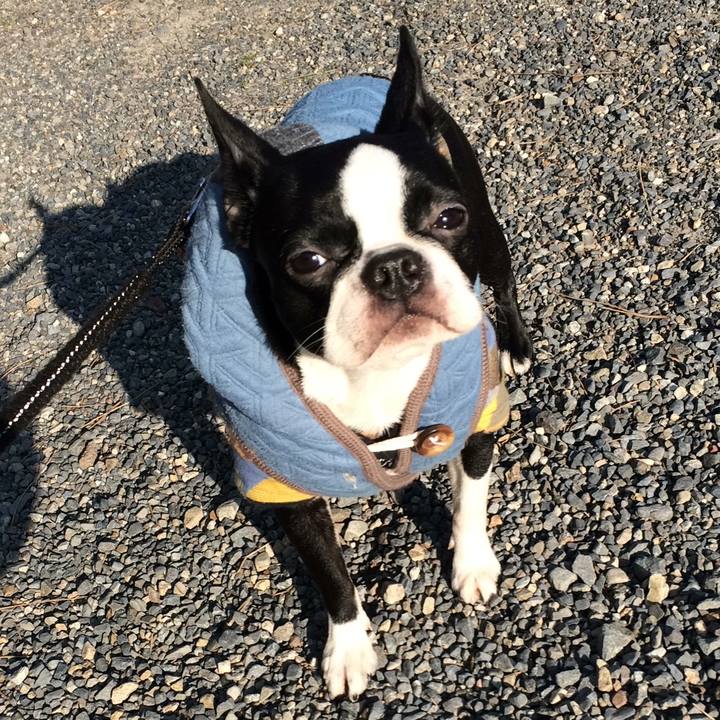 1f544865 a86b 4fcf 8033 444152d91d66