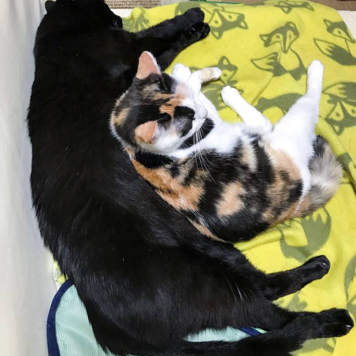 1f548d45 019e 41ca a4d3 980d22226dc6