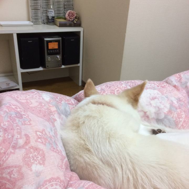 1f54b4b0 bb74 43dc 8a7b b6127dac3578