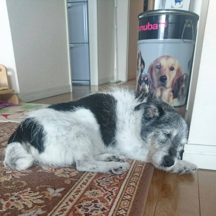 1f54ffd1 bf89 4579 9782 18534395e15d