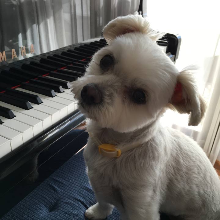 1f550895 d2c7 4ebf b799 ee8a82c530bc