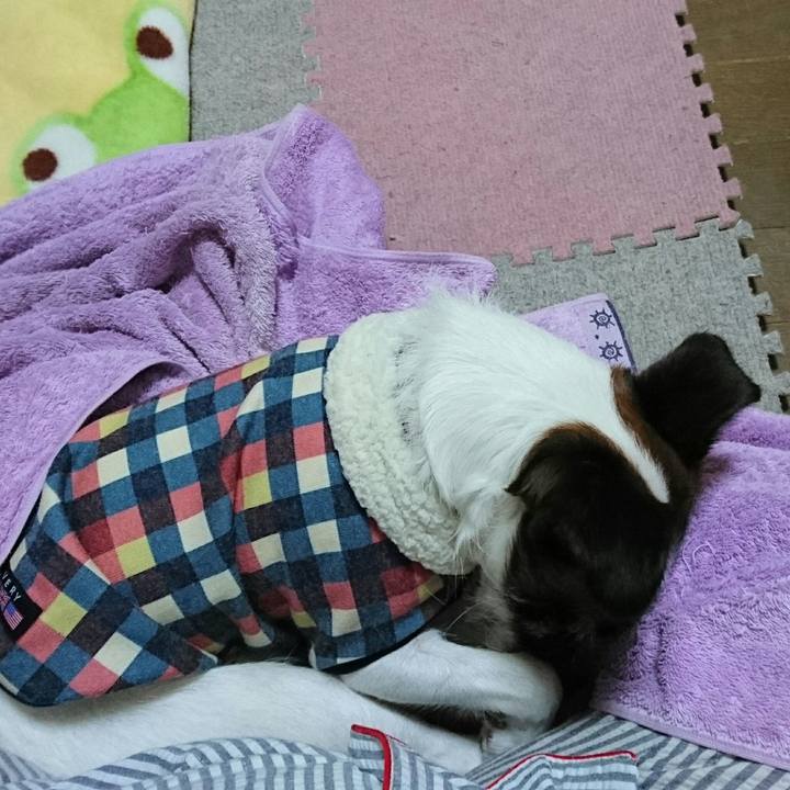 1f5561b3 8bf3 4b77 8ea3 96992e3ef585