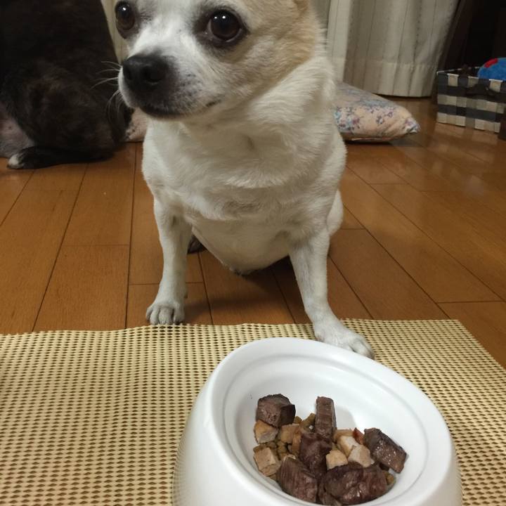 1f564010 ee42 4cf8 bb9f ec3266b0eb72