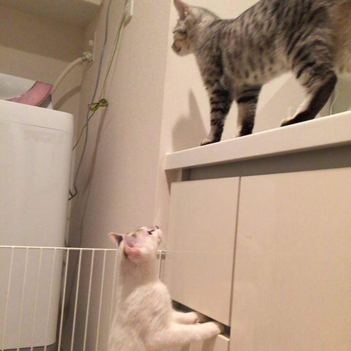 1f565b09 76a7 4b31 b74e 803a6ecdb657