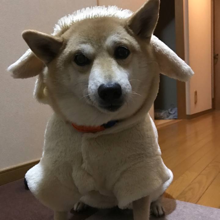 1f567fb1 c5a7 4a0c bb9d 029f471b6d76