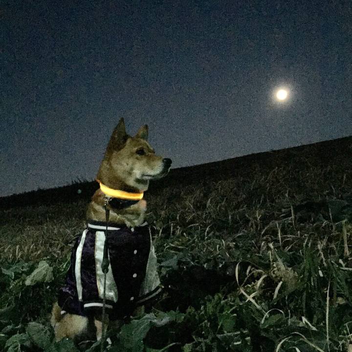 1f568c5f 2ba7 4a36 b159 6de3b6694819