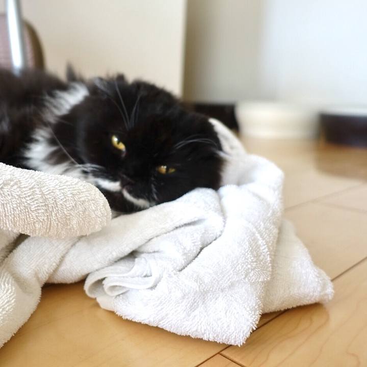 1f574423 fb24 4740 98f8 b960cfc966b4