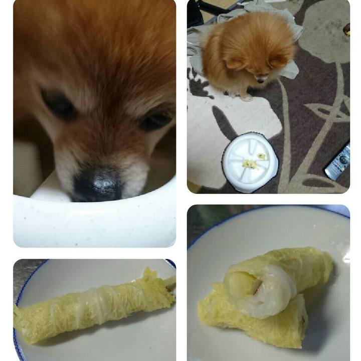 1f574c05 3f63 4439 bd38 3badab0a98f8