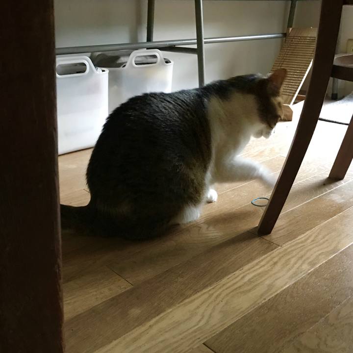 1f5780d5 d831 4d52 9a87 4fcb57fa8430