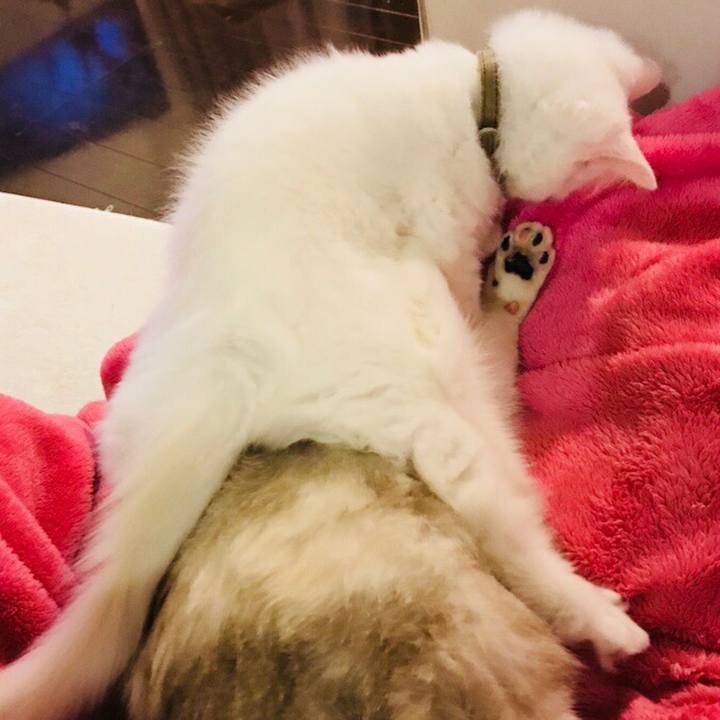 1f57e93d 69d8 41d8 a9b5 65af159ccc40