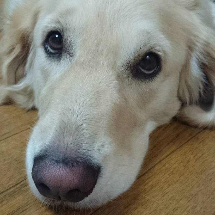 1f581f4d 3683 4a91 ab67 e857ac20107e