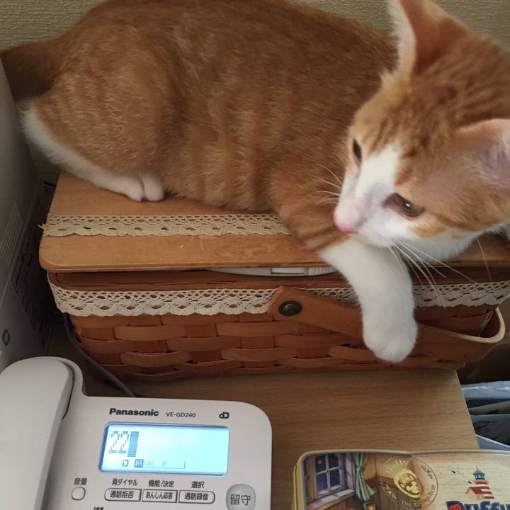 1f5865b5 5f67 45f3 a28d b3a4f4651947