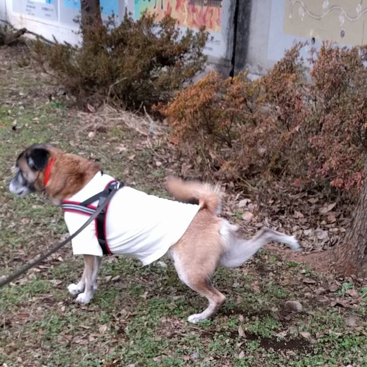 1f59542b f955 437f 9f98 e4e6480052c3