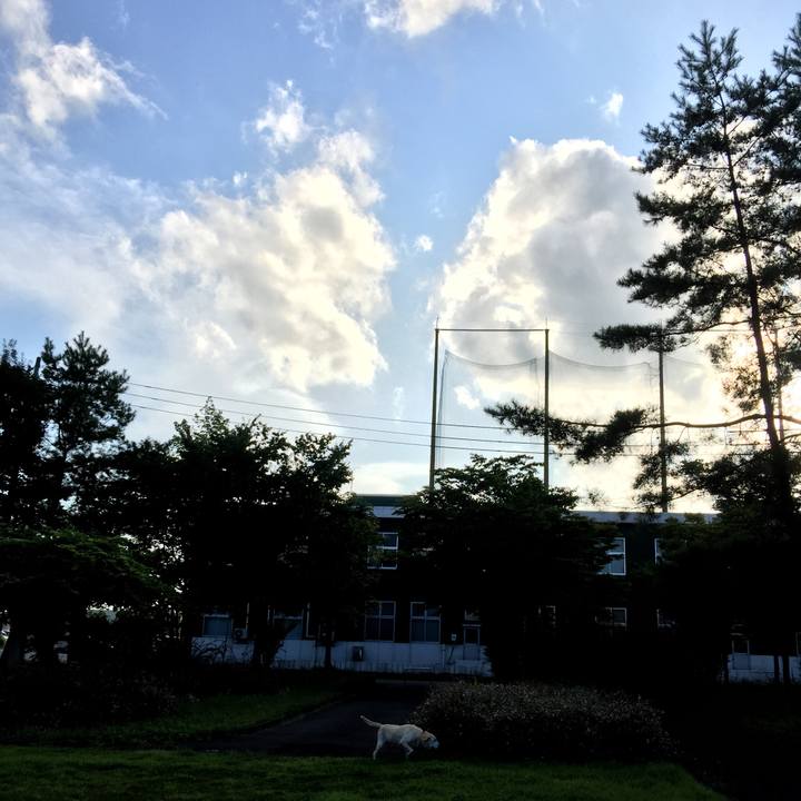 1f5971e4 cdfd 4de3 b7e8 1fe5e4c2cbae