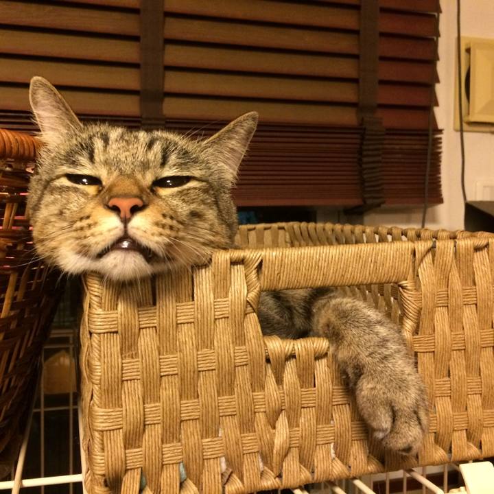 1f597571 a7c6 4575 82a9 f5de5046d3c9