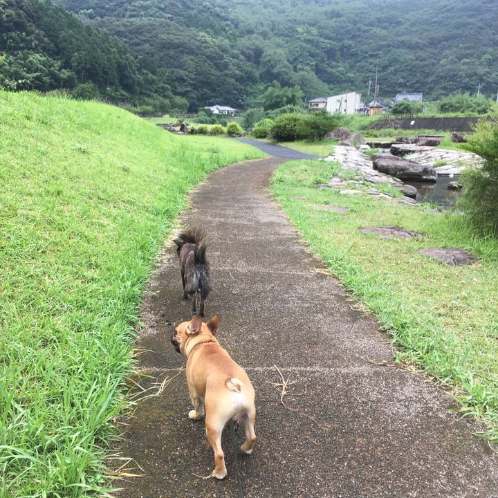 1f59a9b8 6777 40c5 b5d4 91a0df5420d0