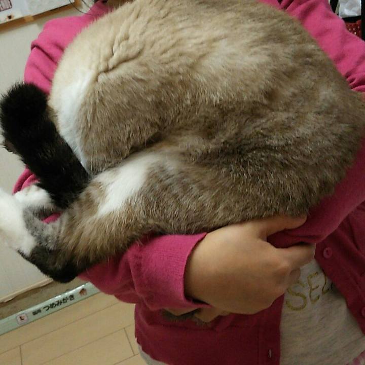 1f59f1c7 d17f 4fec 89aa f9b7b5a85114