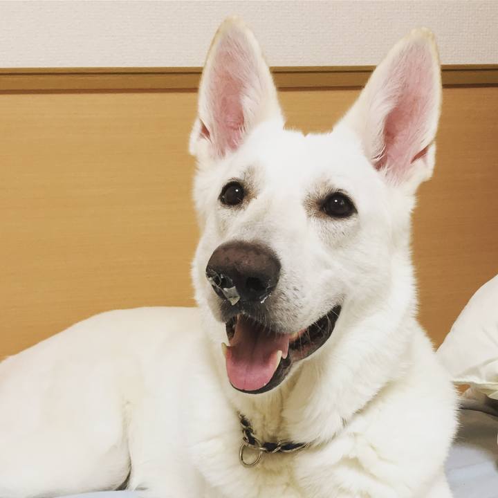 1f5b86dc 4081 4870 a7b3 215ca4cf6b3d