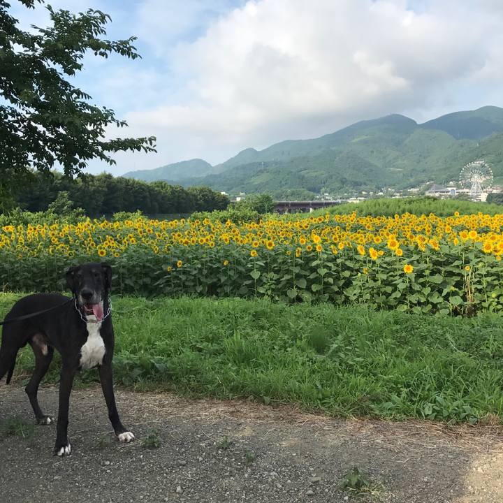 1f5bce34 c8d9 4817 8965 44cc87d09644