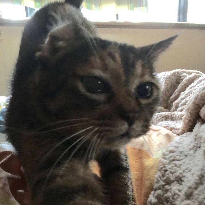 1f5be5ea f3df 4c42 b723 784ab2d314ea