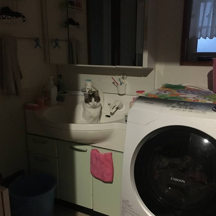 1f5c0974 fc7f 42af 84f8 4ad8c8cb5e2d