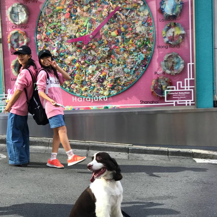 1f5cd47c a42e 436a bbc2 fc9c7d380531