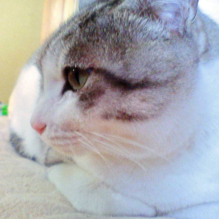 1f5cd971 0293 4397 ac9d 73ca3d9bde19