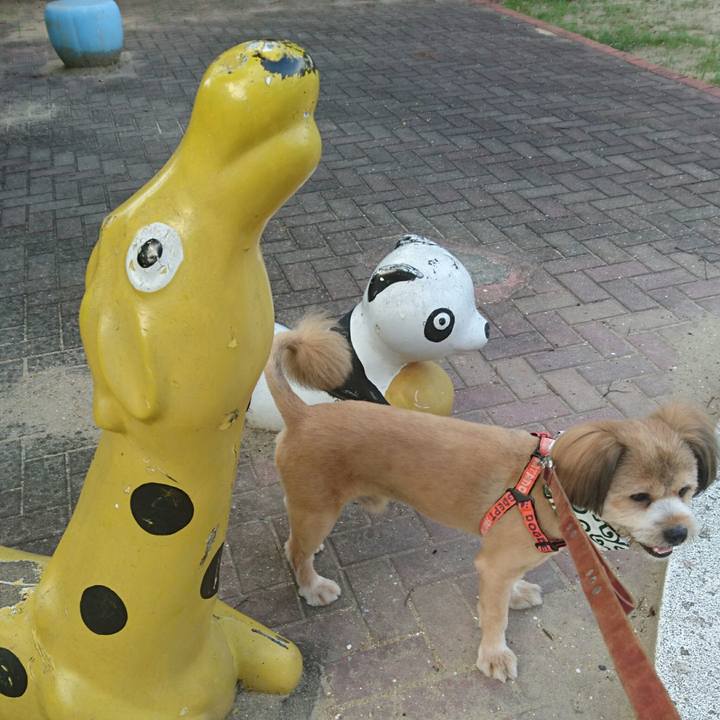 1f5ce51c e1fd 43ba b4f7 6968dbb7ccbb