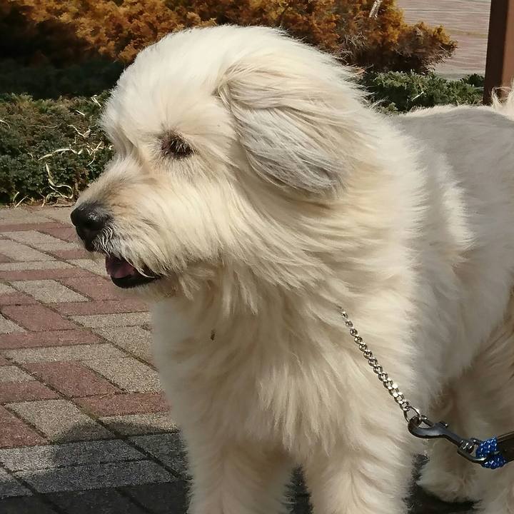 1f5d1795 f133 45f4 97c6 69800846525b