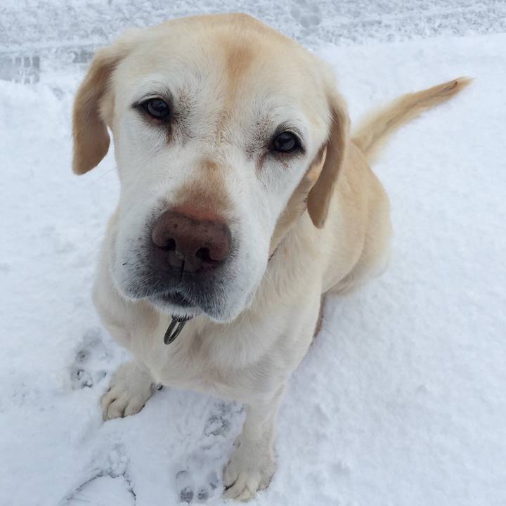 1f5d6af4 accd 4f8d b377 fdb738753487