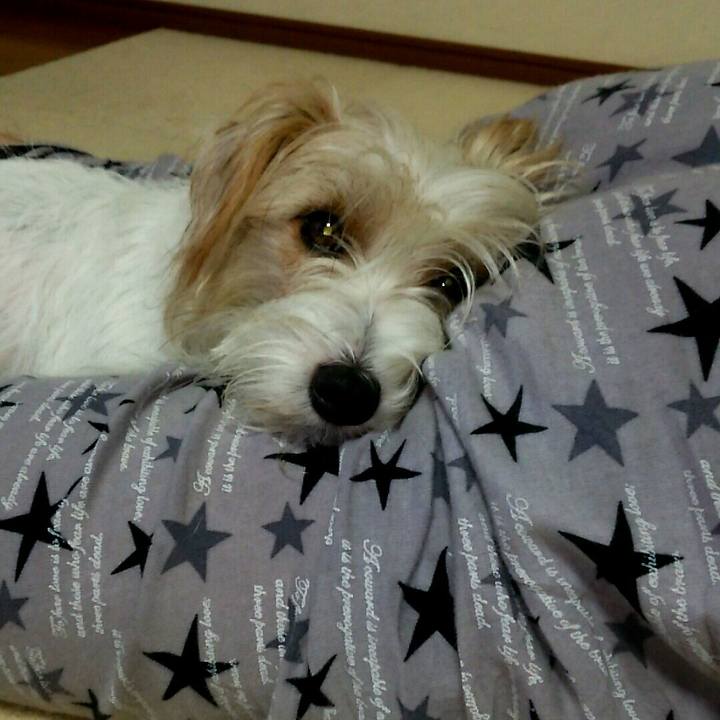 1f5d9db4 27a2 4f2f a0dc f44affe00f15