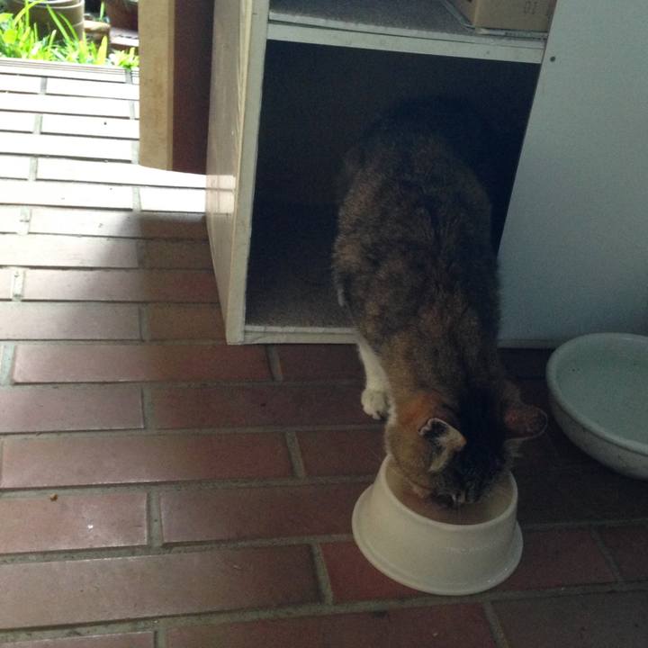 1f5daf09 5191 4ead 9dd0 ee6c14f77331