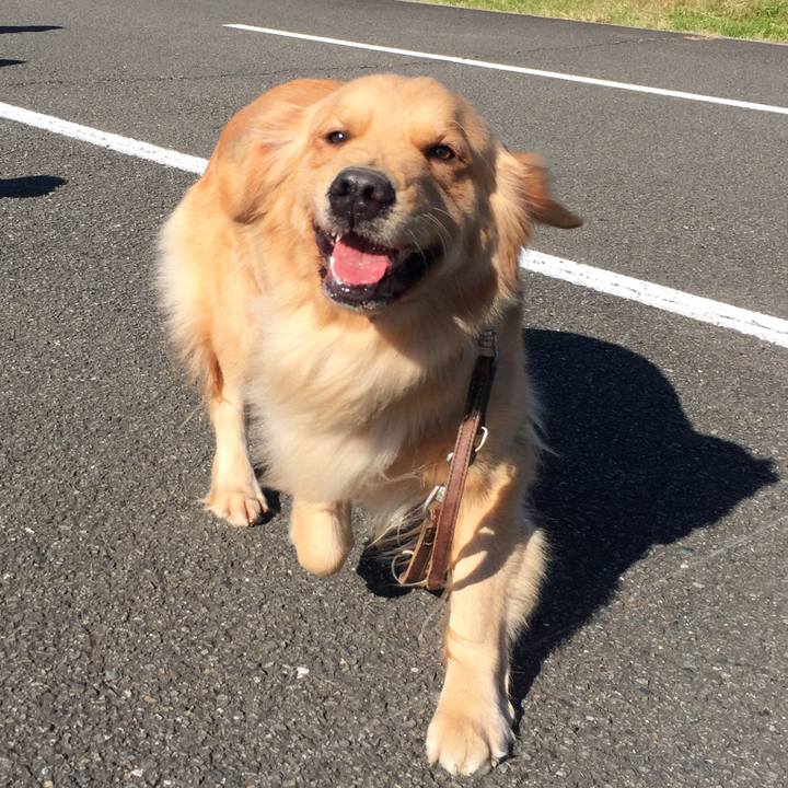 1f5e2f58 7e2e 4352 9964 058b05431728