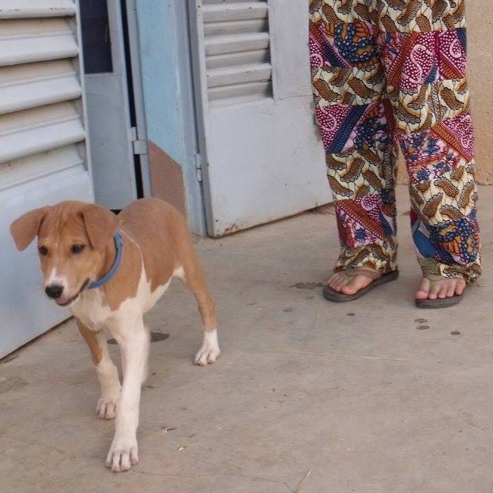 1f5e5f45 34a8 461f 83fa 2f955f6caa5e