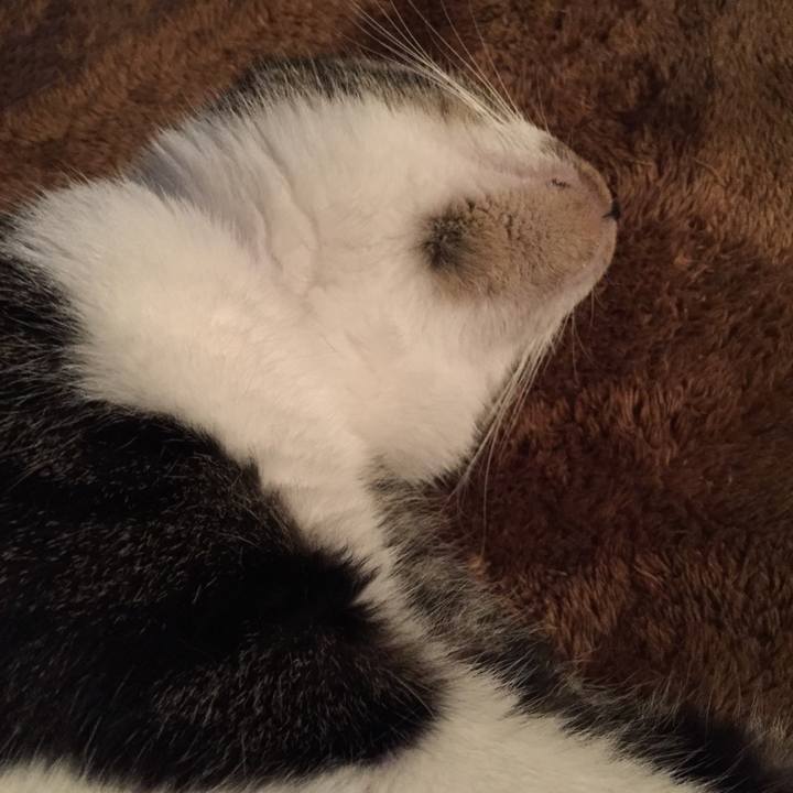 1f5e677a b2a7 4be3 8278 2fbc7c6cf2f9