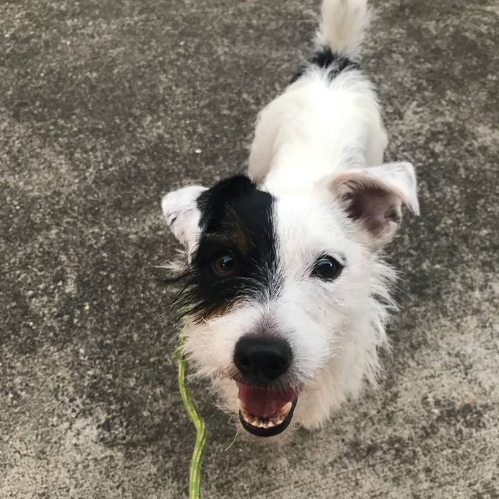 1f5e946c 3cb7 40f5 9c1e 17feb0c50d9e