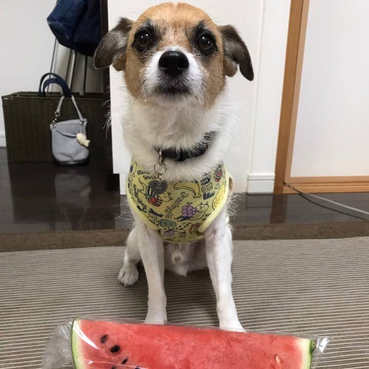 1f5eeea8 a218 490b b6db 48fb9785e6e9